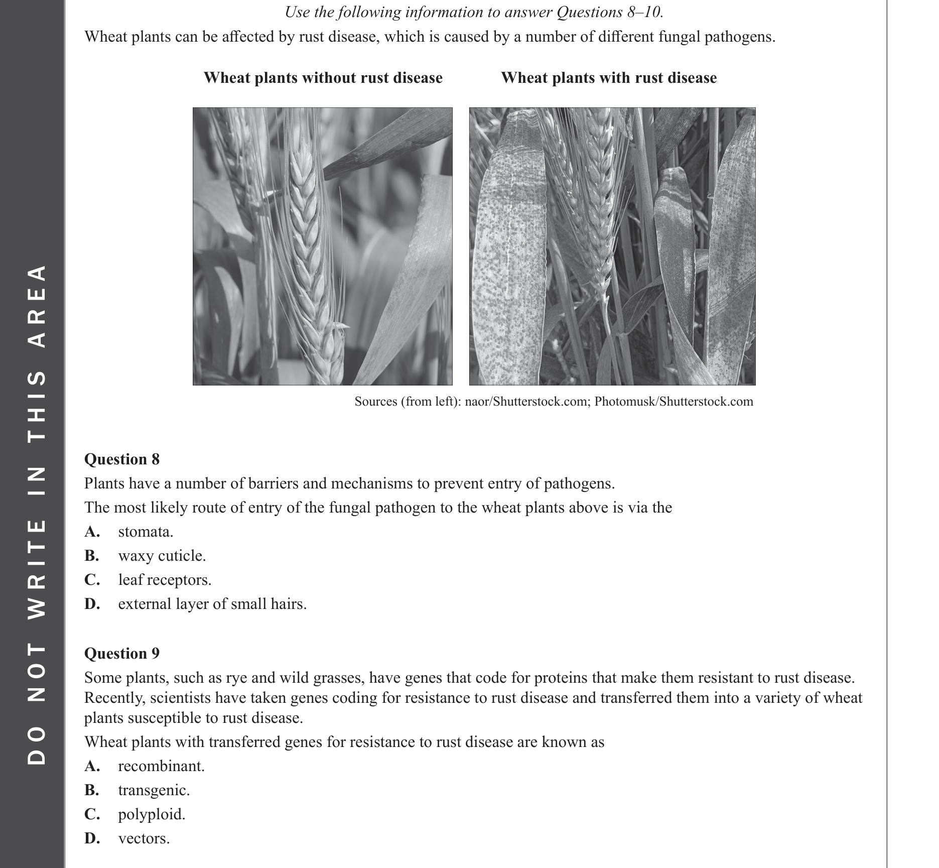 Biology 2023 Exam Question 9 — Genetically modified and transgenic organisms