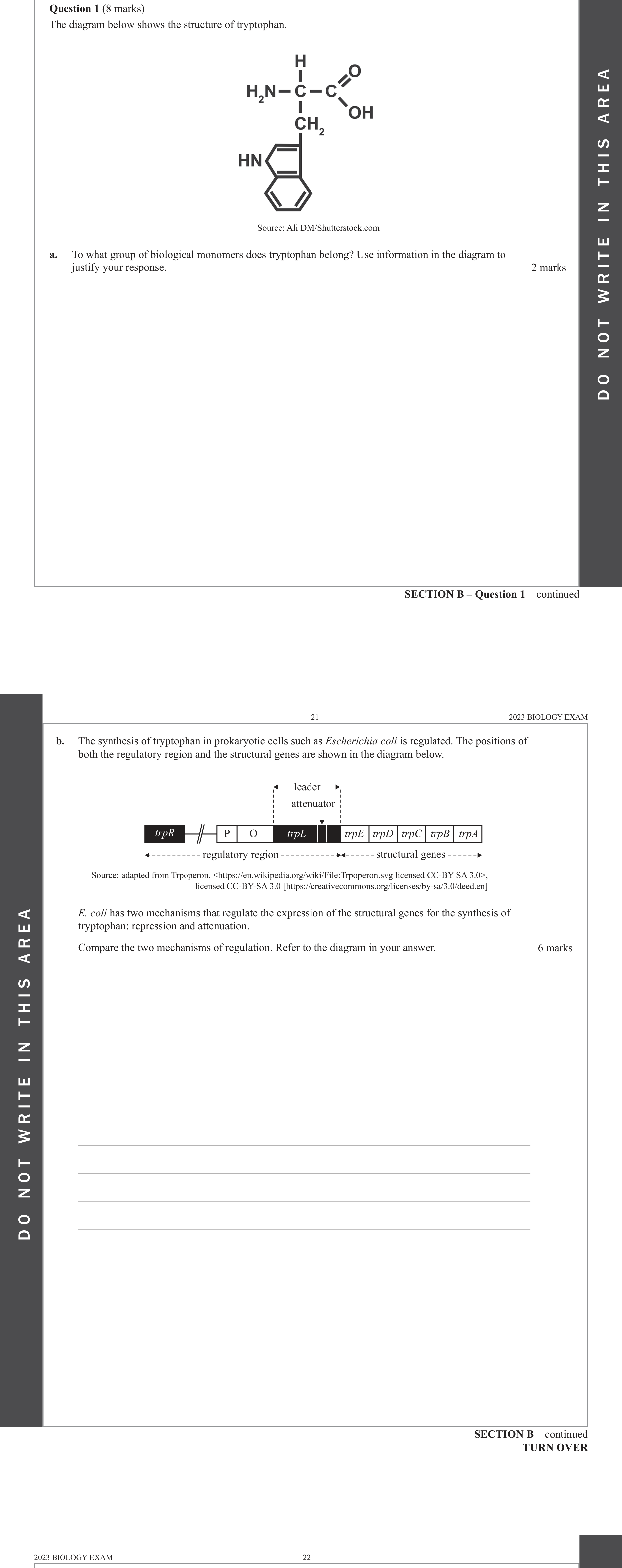 Biology 2023 Exam Question 1(a) — Amino acids and polypeptide structure