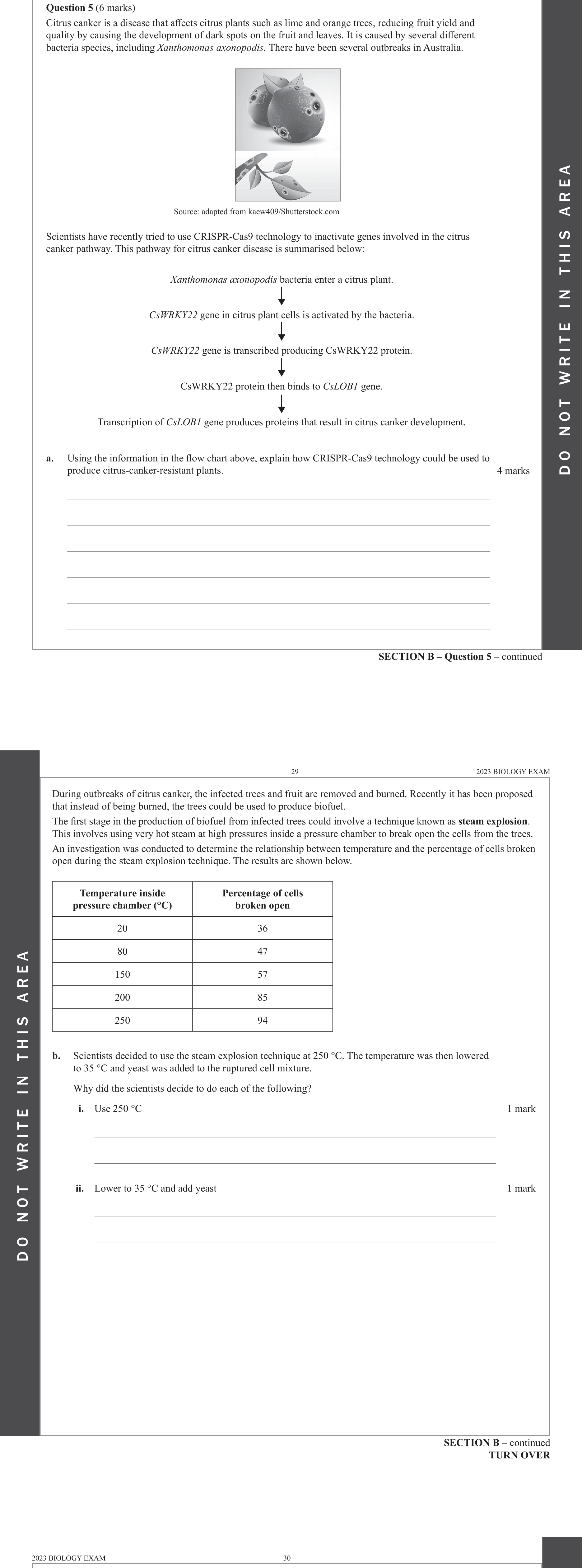 Biology 2023 Exam Question 5(b)(i) — Biofuel production from biomass