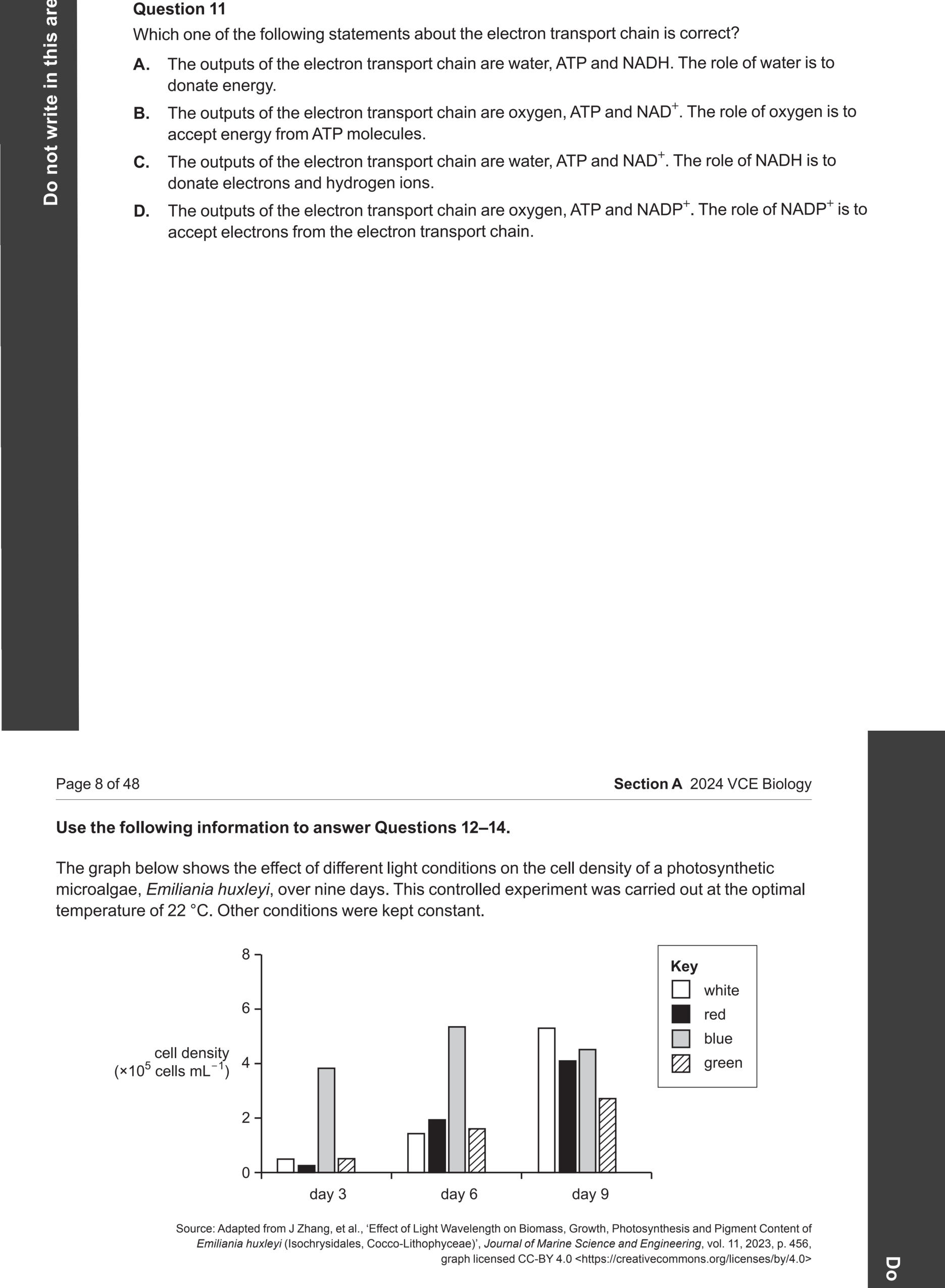 Biology 2024 Exam Question 11 — Electron transport chain and ATP yield