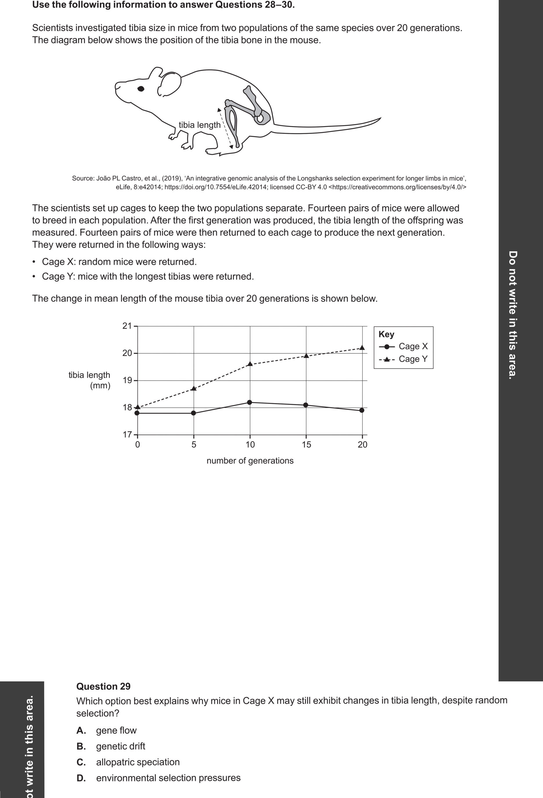 Biology 2024 Exam Question 29 — Genetic drift and gene flow