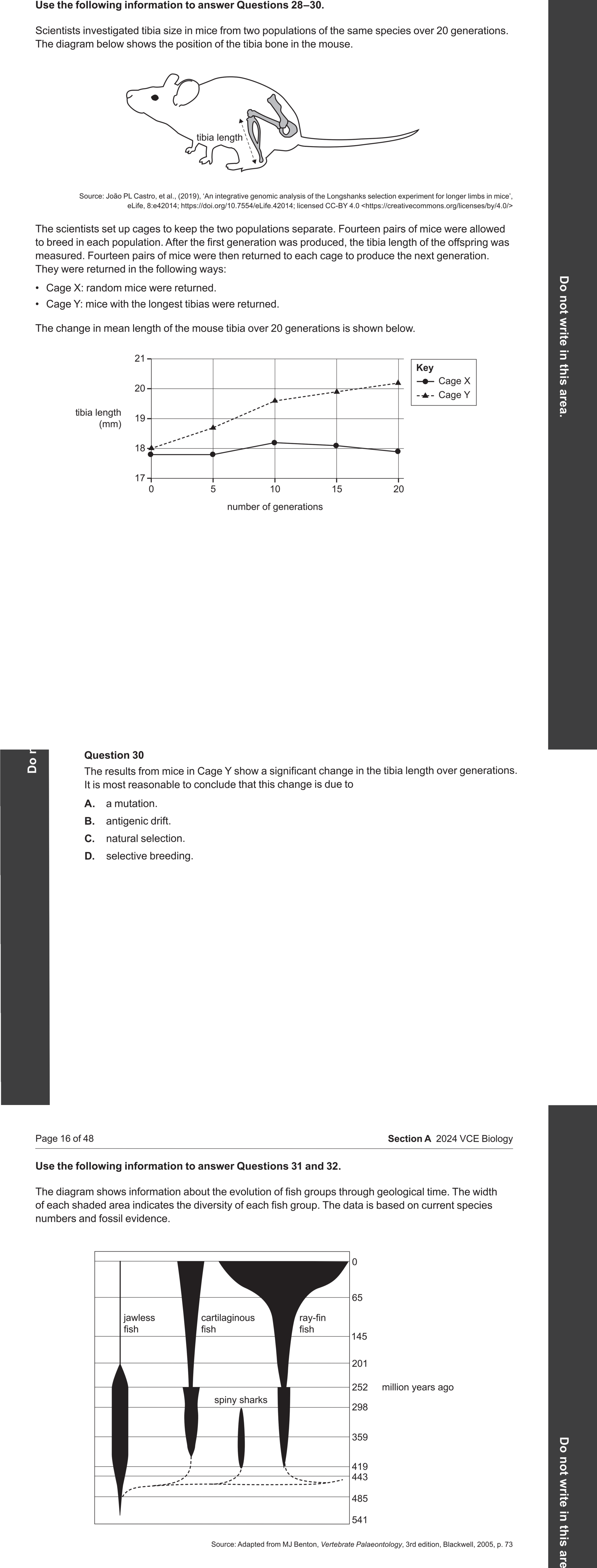 Biology 2024 Exam Question 30 — Selective breeding and gene pool manipulation