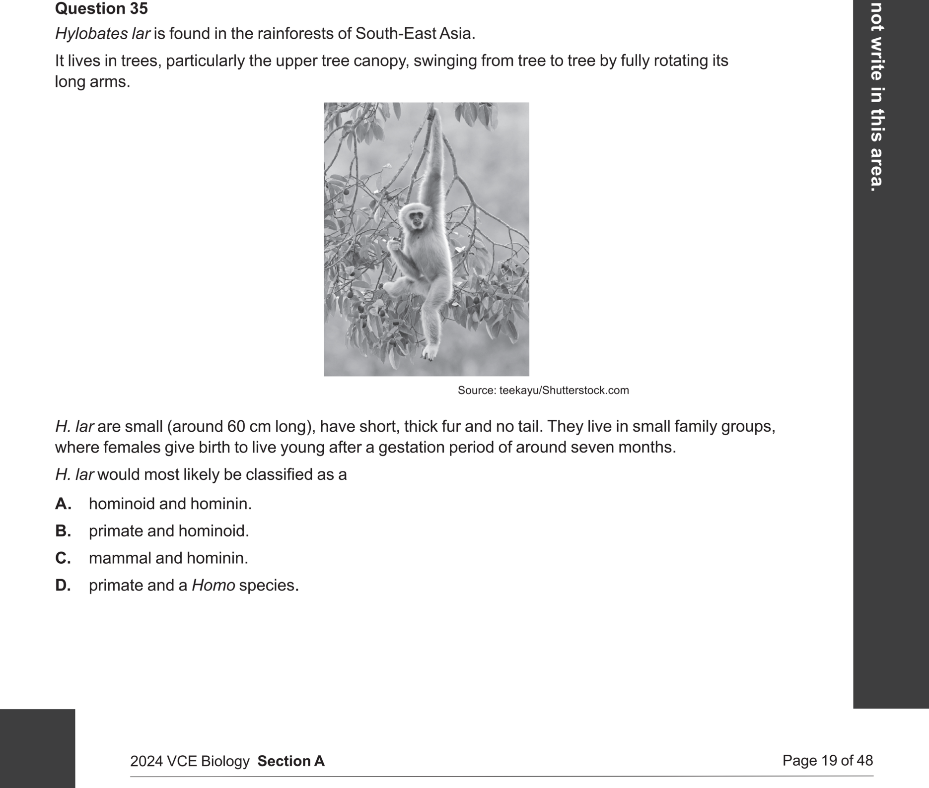 Biology 2024 Exam Question 35 — Mammal, primate, hominoid, hominin characteristics