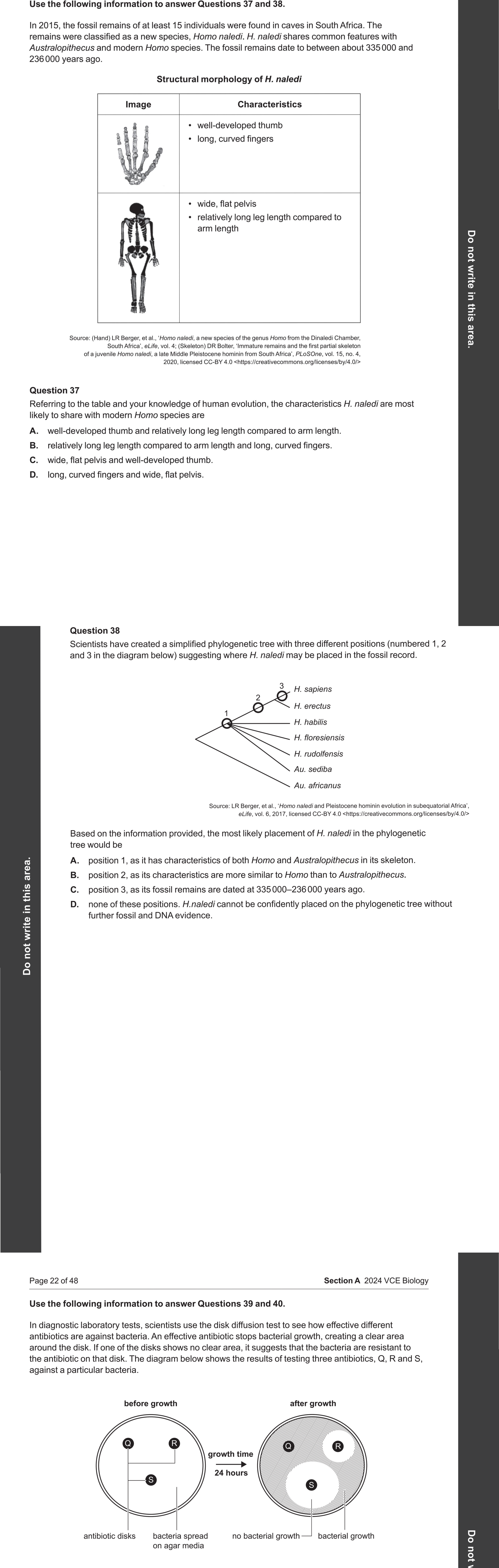 Biology 2024 Exam Question 38 — New putative Homo species evidence, Contested fossil record interpretations