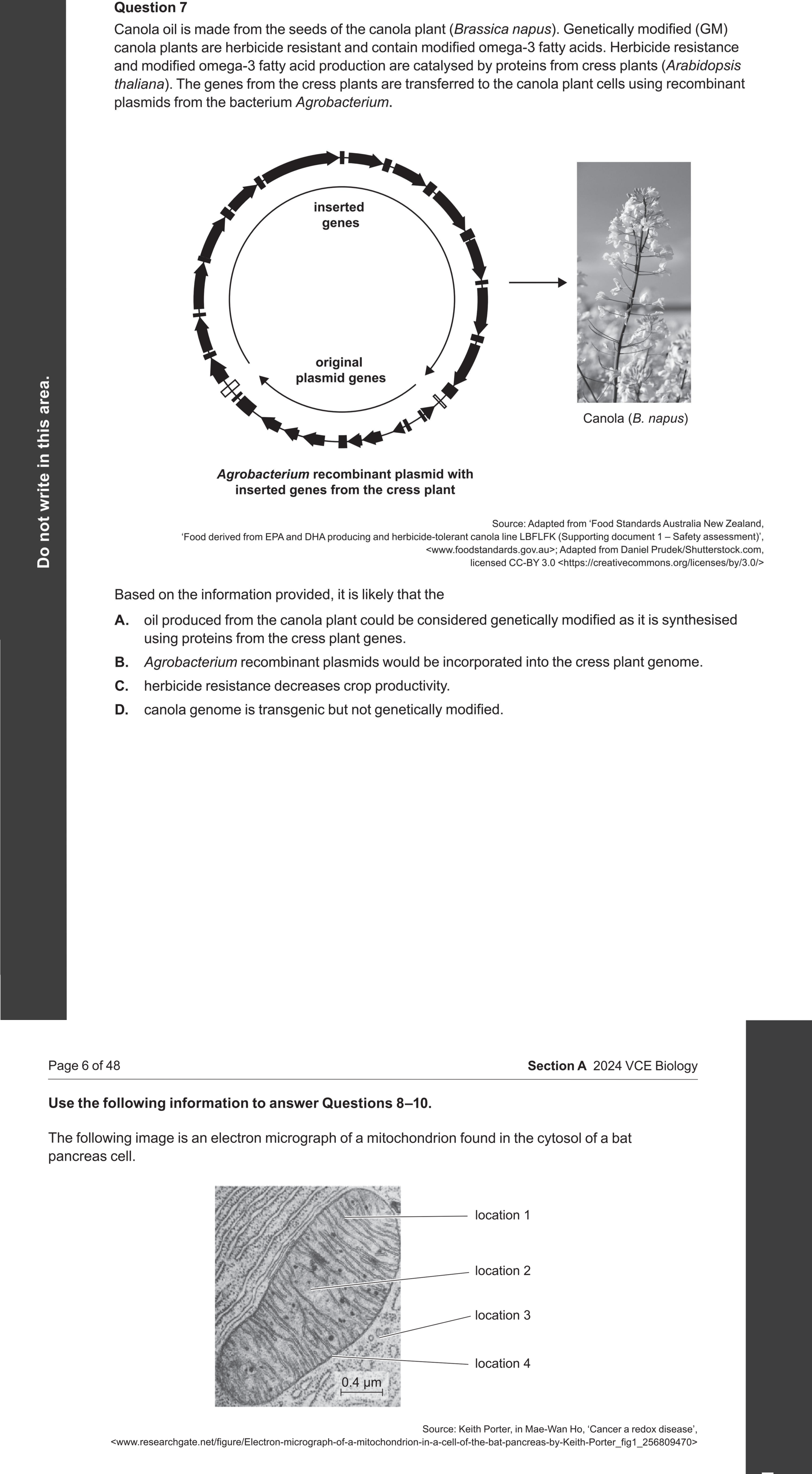 Biology 2024 Exam Question 7 — Genetically modified and transgenic organisms, Agricultural applications of gene technology