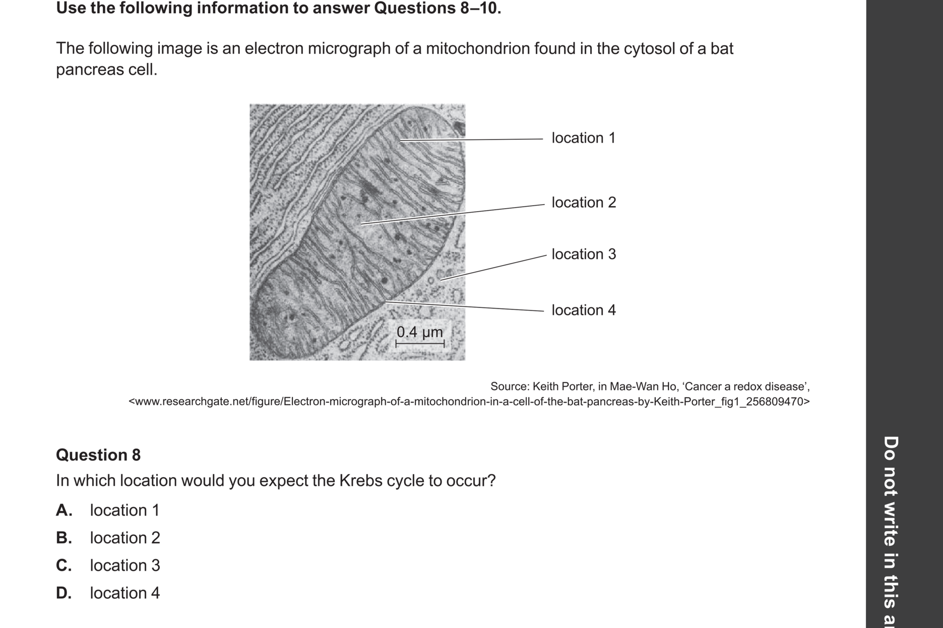 Biology 2024 Exam Question 8 — Krebs Cycle inputs, outputs and location