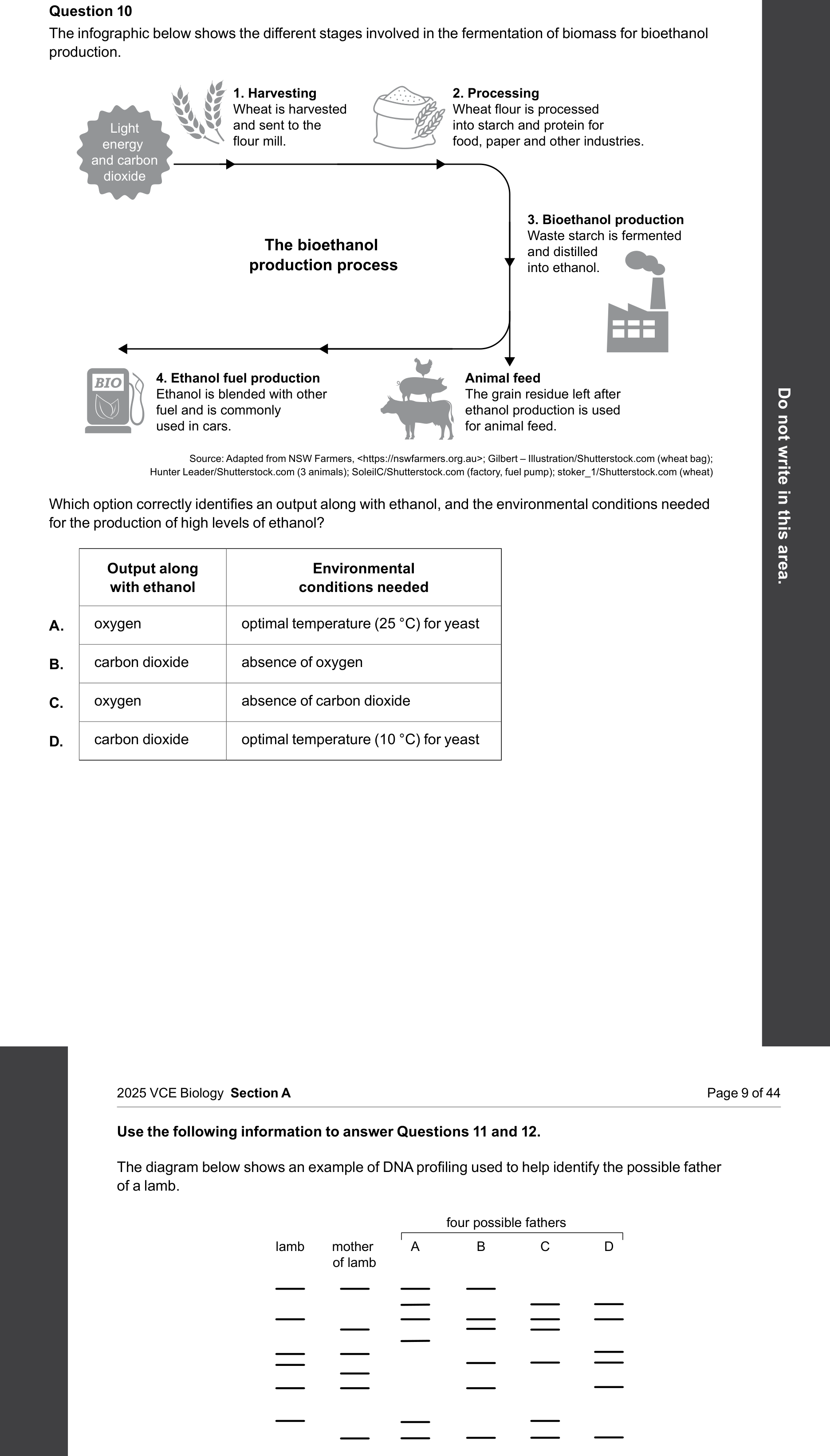 Biology 2025 Exam Question 10 — Anaerobic fermentation in yeasts, Biofuel production from biomass