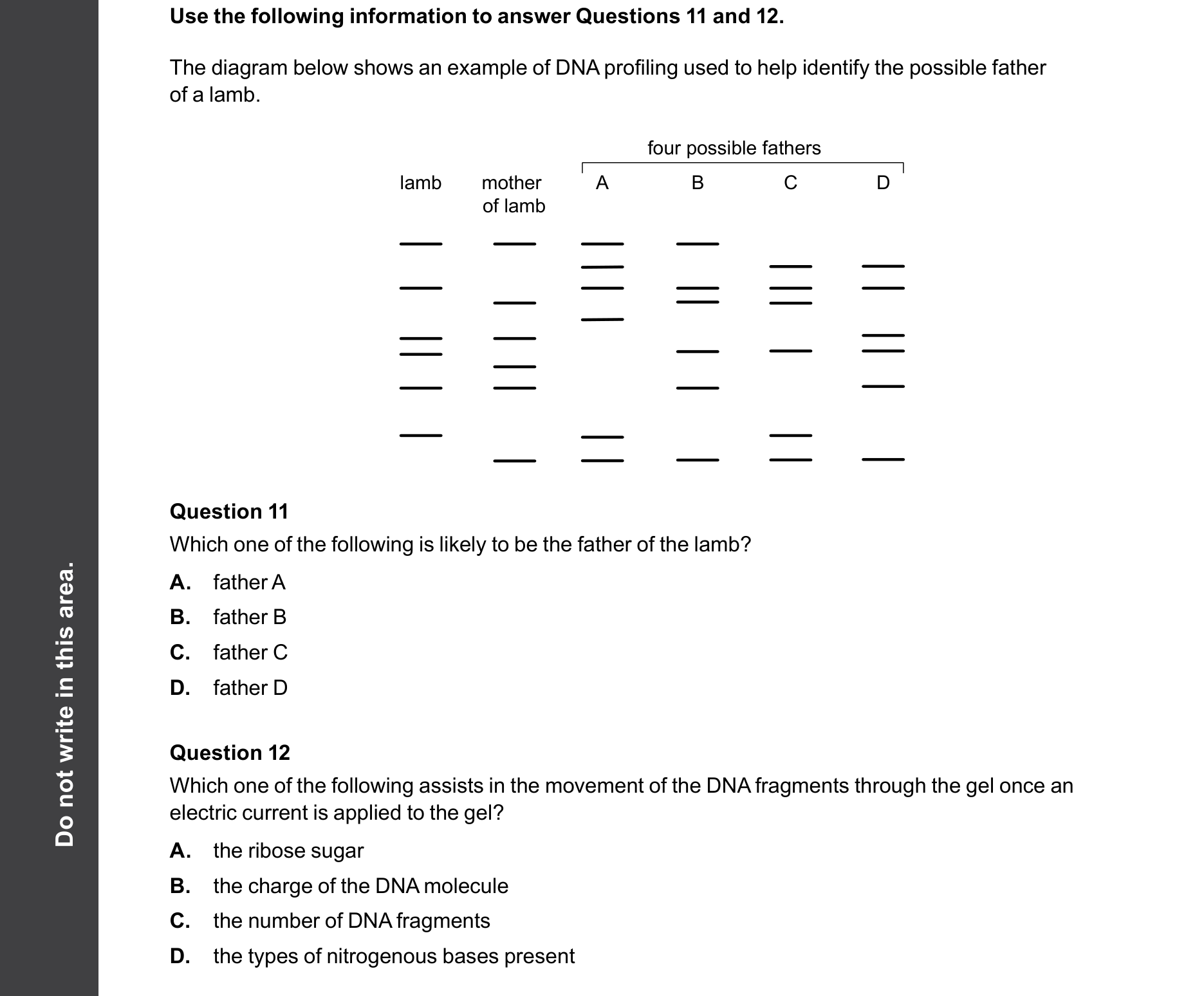 Biology 2025 Exam Question 12 — Gel electrophoresis and DNA profiling, DNA and RNA structure comparison