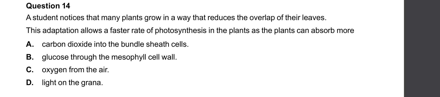 Biology 2025 Exam Question 14 — Factors affecting photosynthesis rate, Light dependent stage inputs and outputs