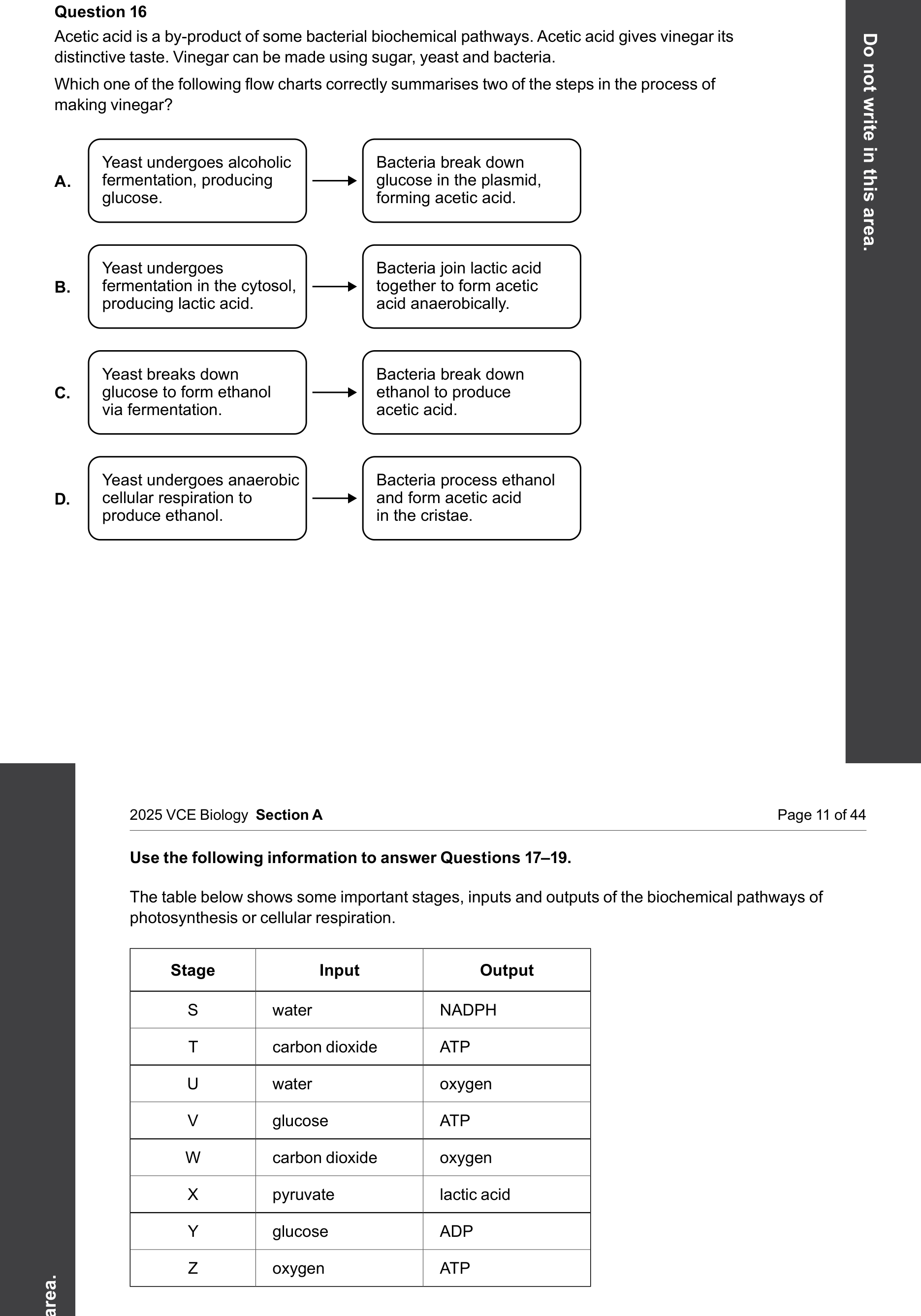 Biology 2025 Exam Question 16 — Anaerobic fermentation in yeasts