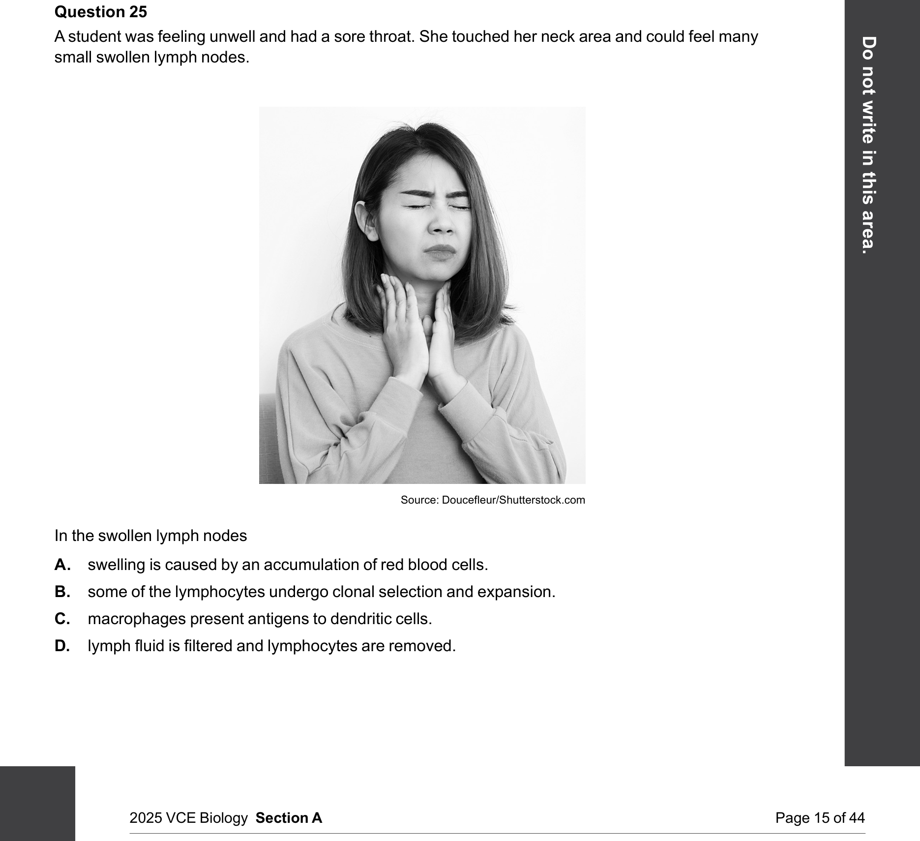 Biology 2025 Exam Question 25 — Lymphatic system and lymph nodes, B lymphocytes and antibody action