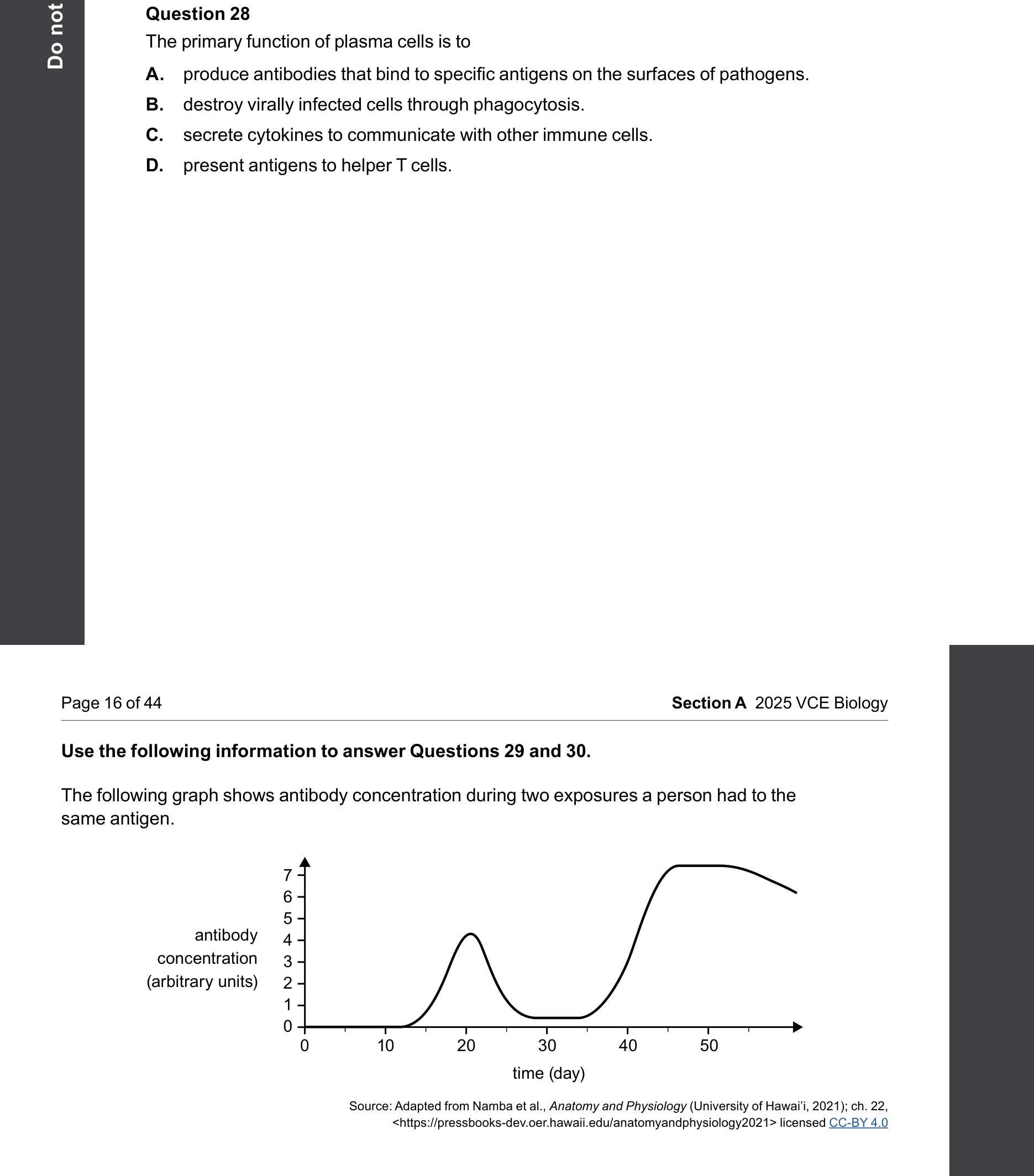 Biology 2025 Exam Question 28 — B lymphocytes and antibody action