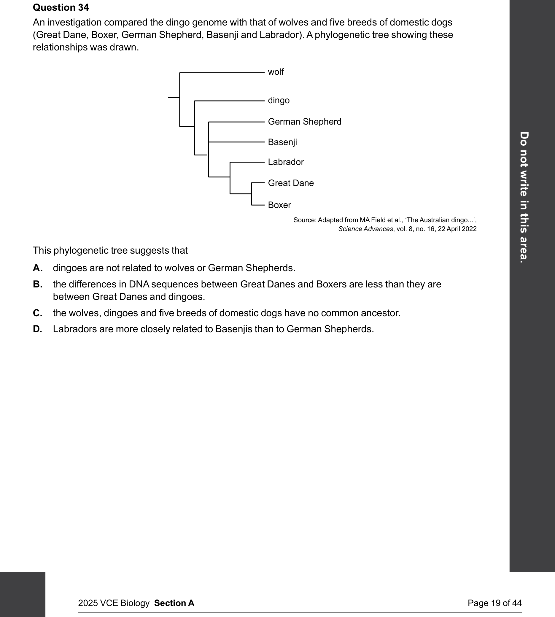 Biology 2025 Exam Question 34 — Phylogenetic tree construction and interpretation