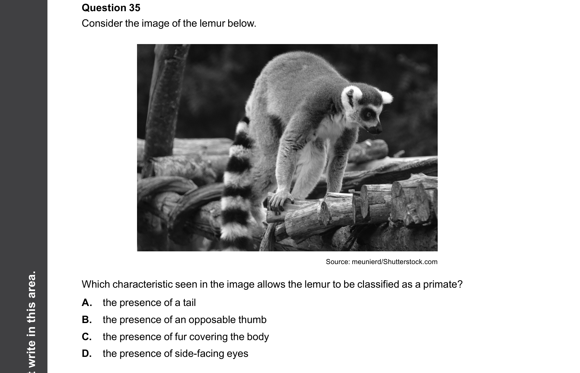 Biology 2025 Exam Question 35 — Mammal, primate, hominoid, hominin characteristics