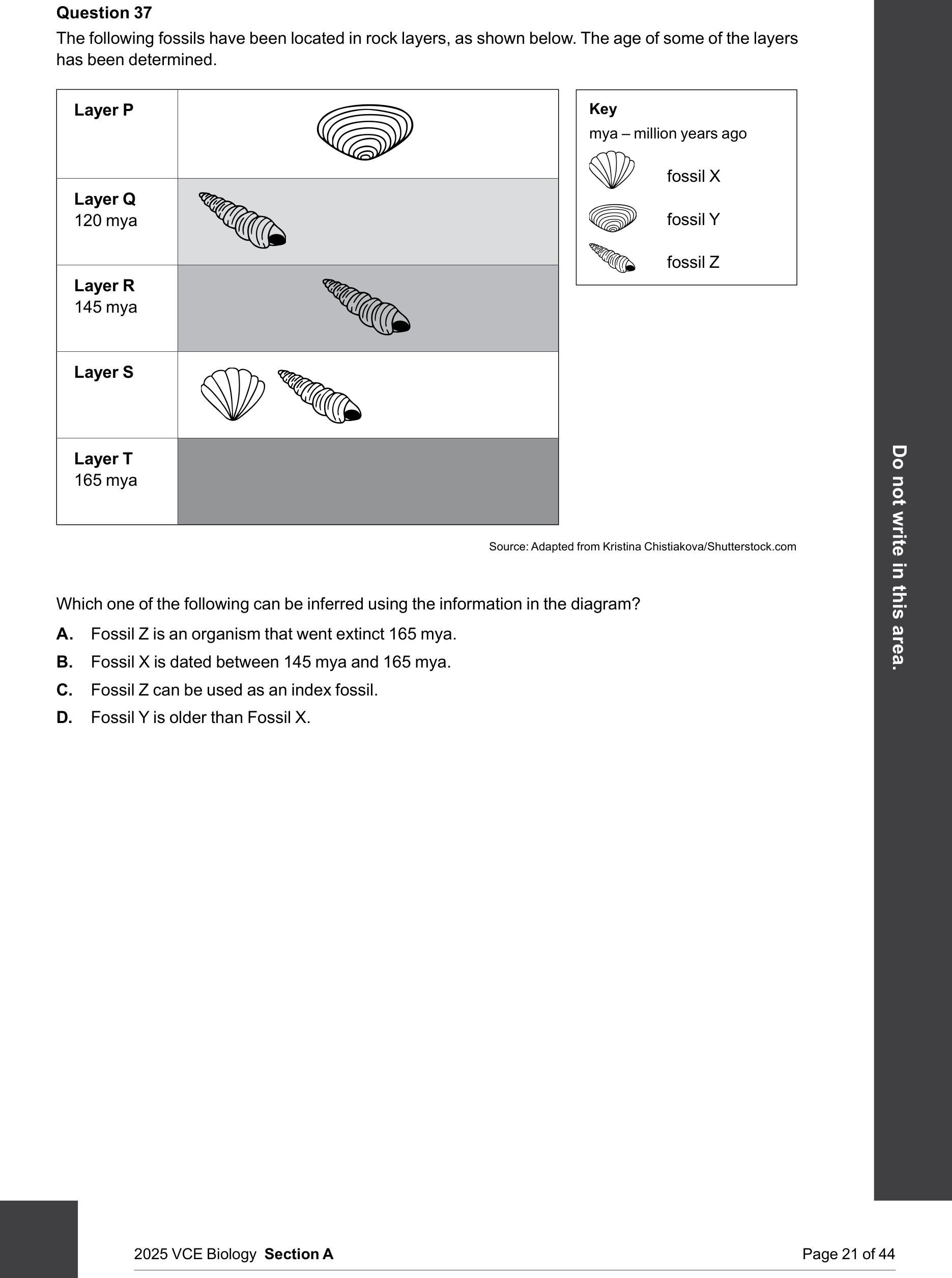 Biology 2025 Exam Question 37 — Relative and absolute fossil dating, Index and transitional fossils