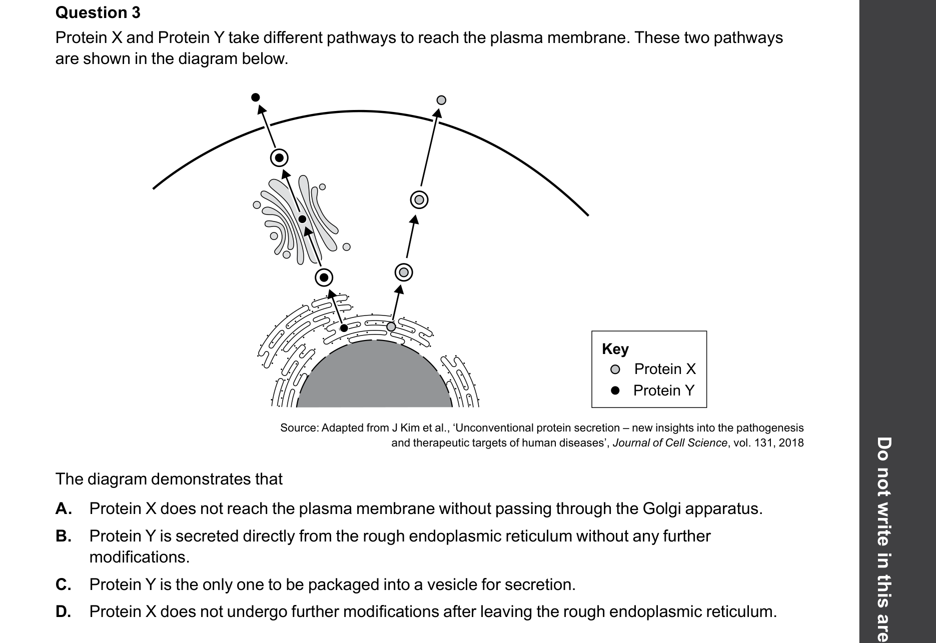 Biology 2025 Exam Question 3 — Protein secretory pathway components