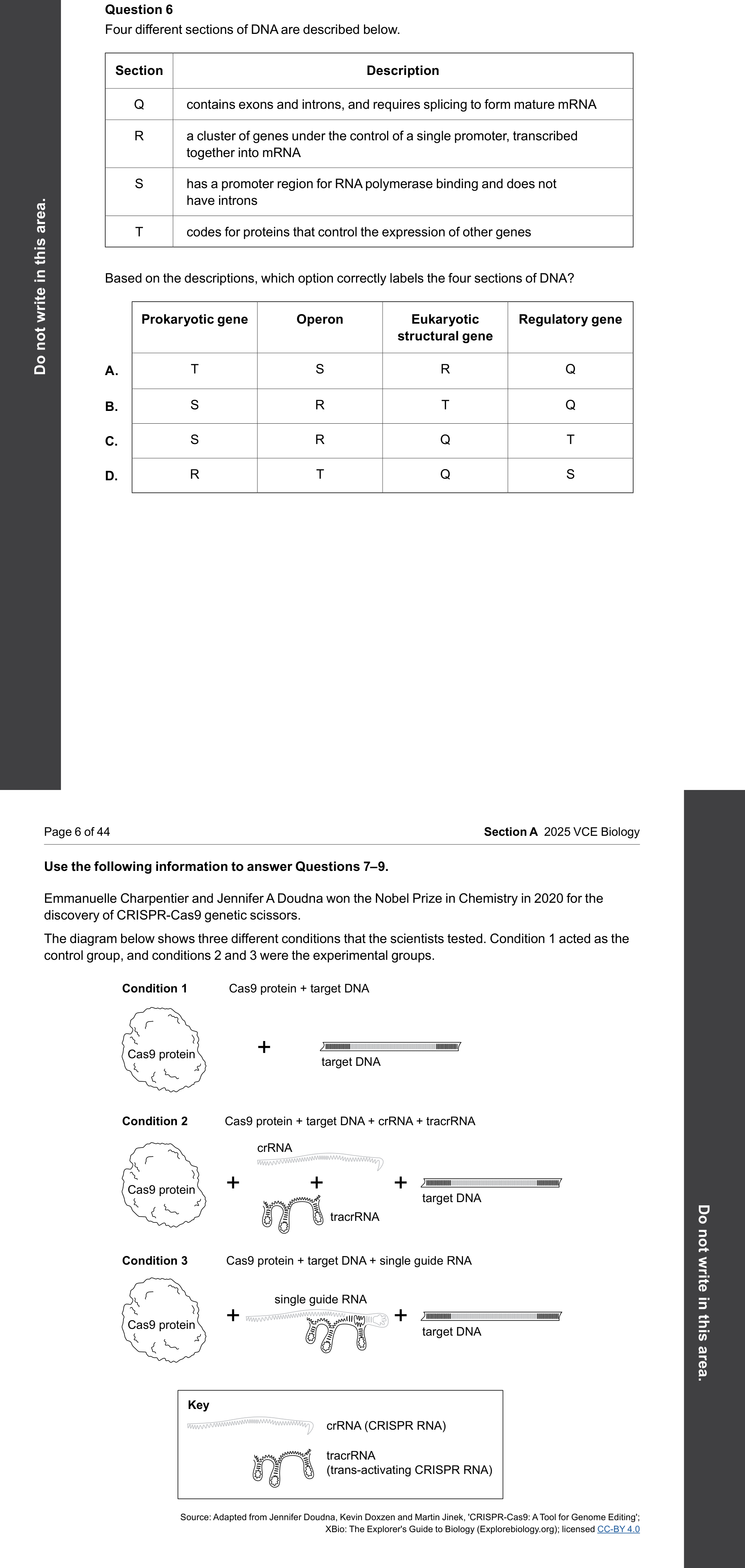 Biology 2025 Exam Question 6 — Gene structure: exons, introns, promoters, Prokaryotic trp operon regulation
