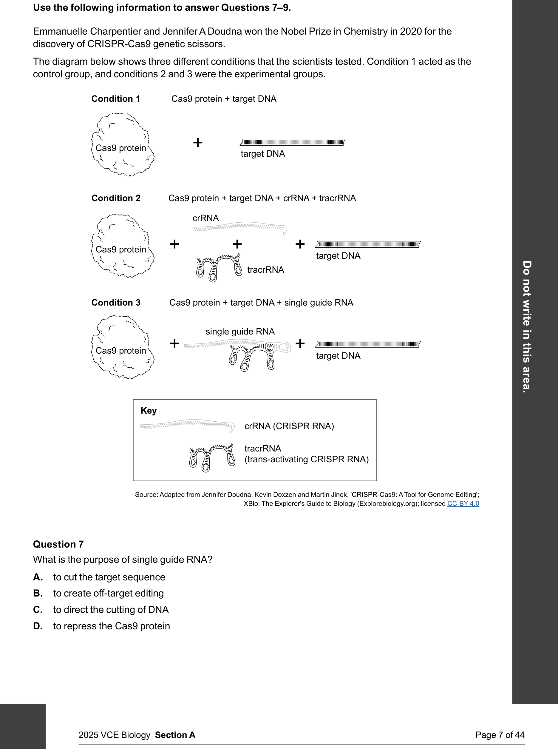 Biology 2025 Exam Question 7 — CRISPR-Cas9 function and genome editing