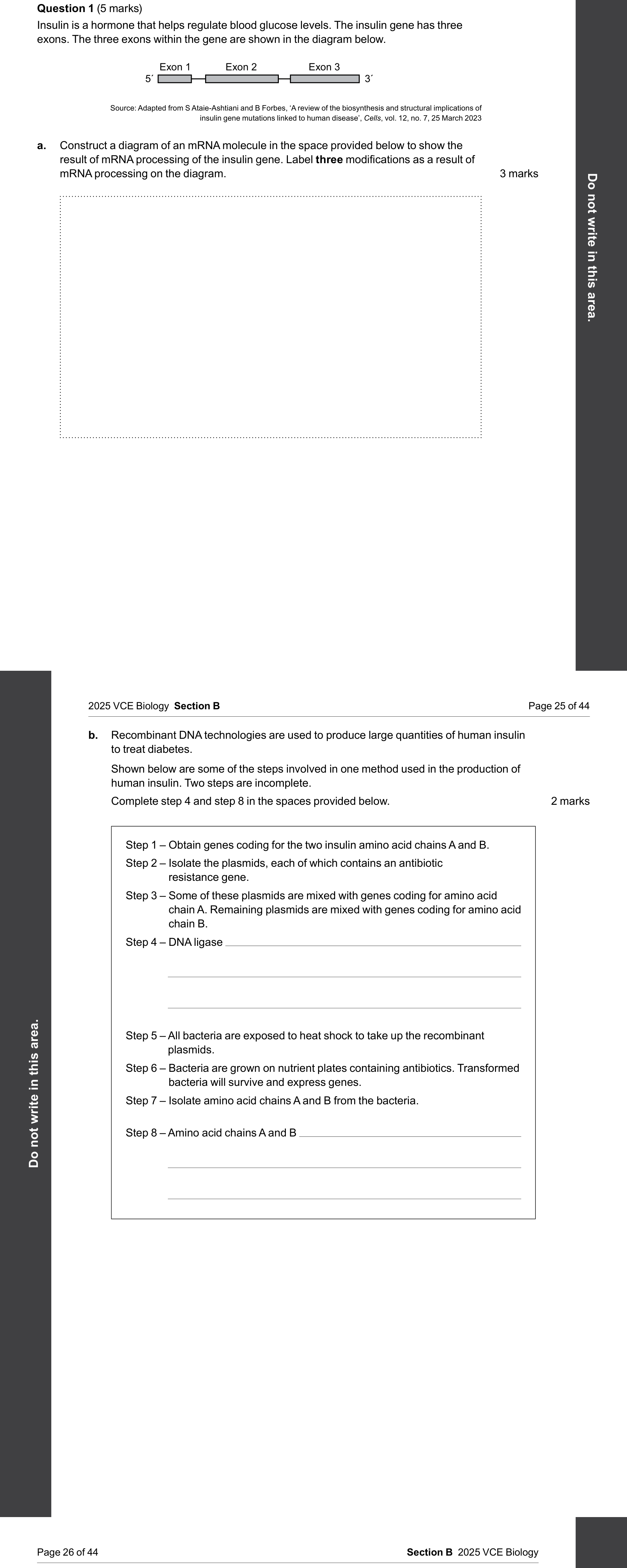 Biology 2025 Exam Question 1(a) — Transcription and RNA processing, Gene structure: exons, introns, promoters