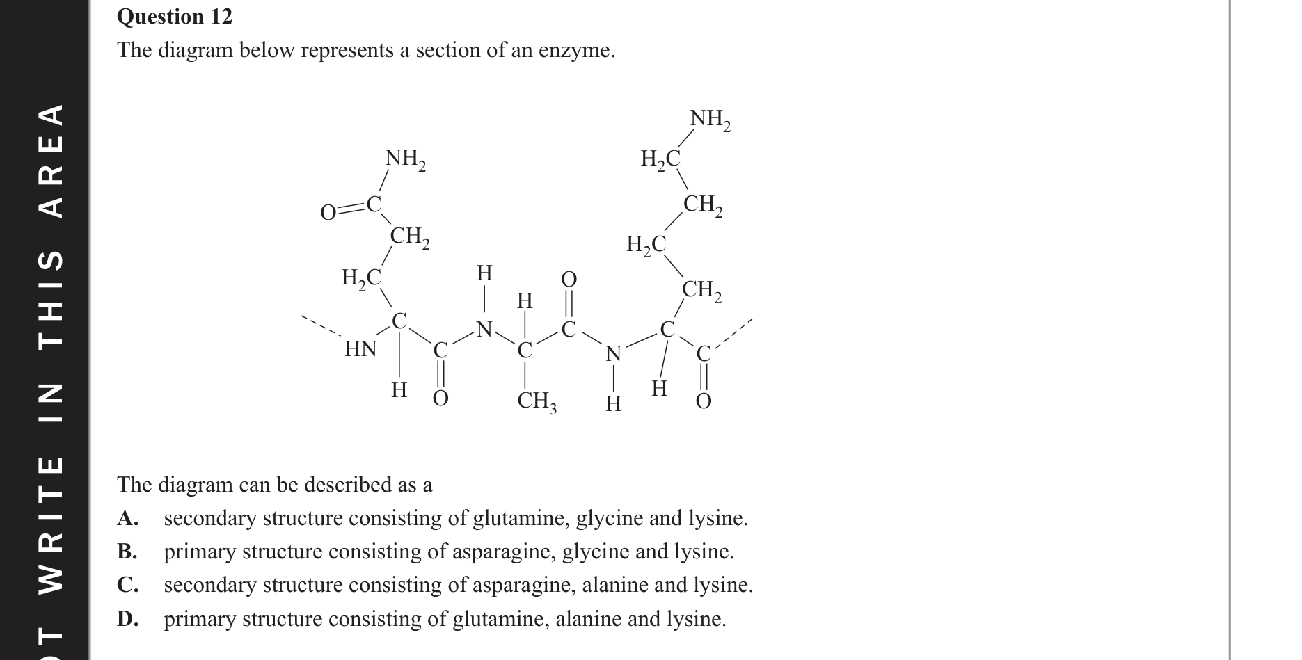 Chemistry 2020 Exam Question 12 — Proteins